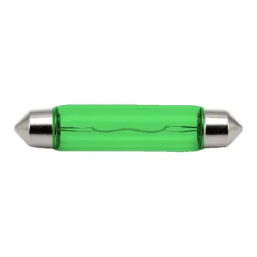 Bulb Rooflight DC12V10W-Green
