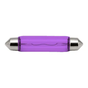 Bulb Rooflight DC12V10WPurple