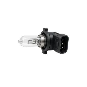 Halogen Bulb H3C 12V 55W